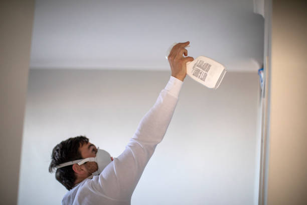 Best Emergency Mold Removal  in Elwood, IN