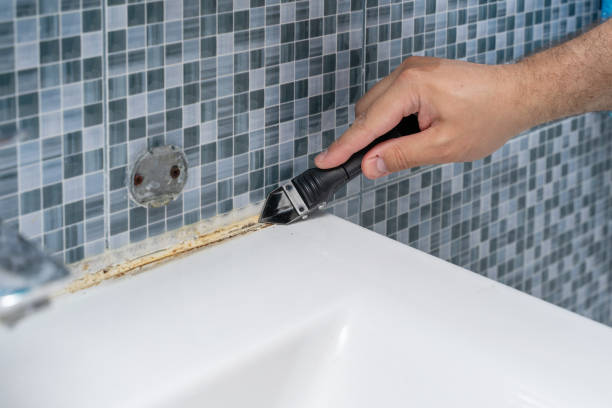 Best Residential Mold Removal  in Elwood, IN